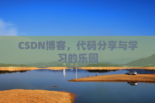 CSDN博客，代码分享与学习的乐园